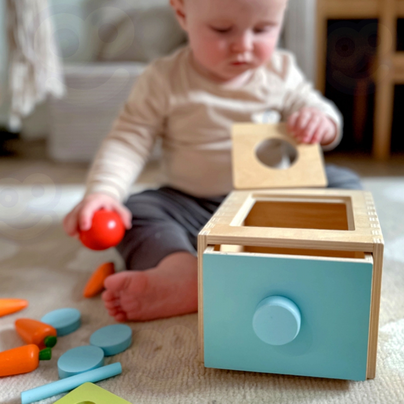  Montessori box vkladačka 12m+