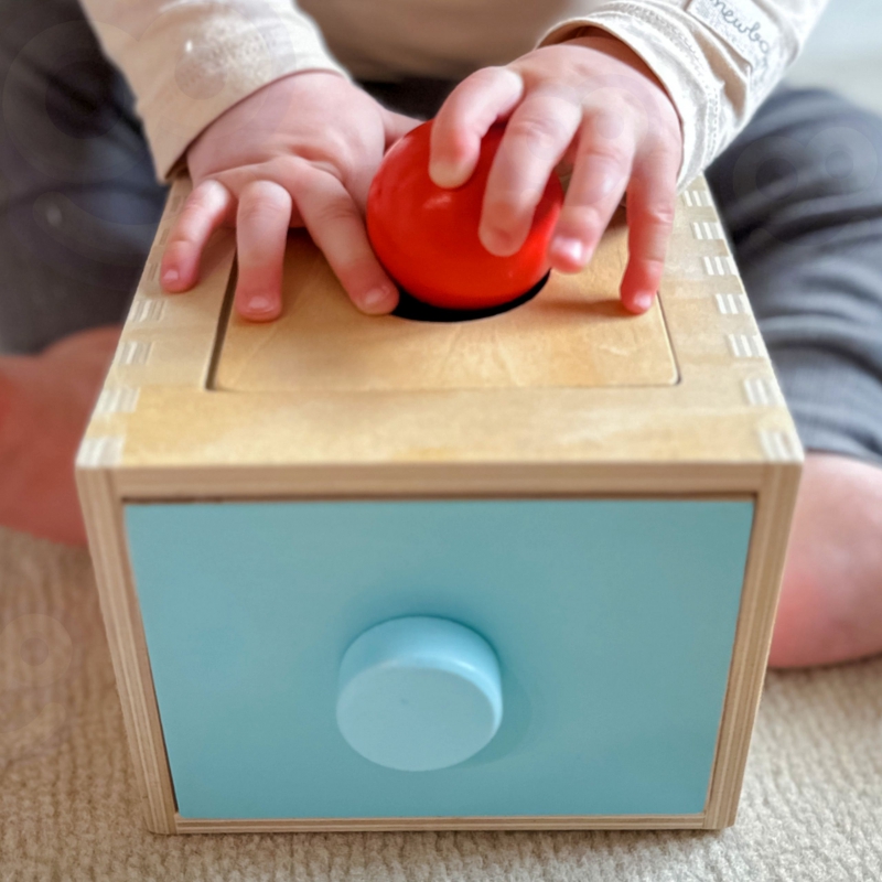  Montessori box vkladačka 12m+