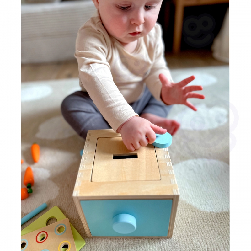  Montessori box vkladačka 12m+